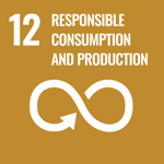 UN SDG Goal 12: Responsible consumption and production
